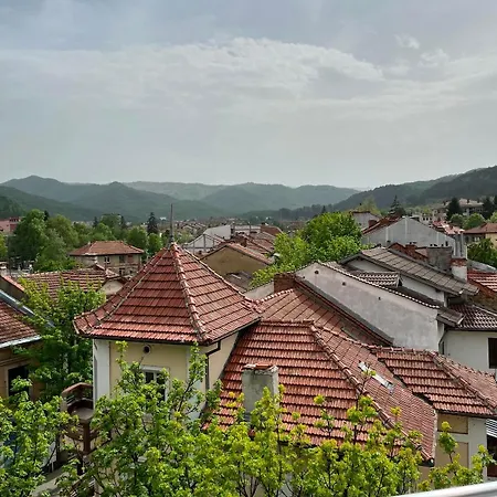 Appartement View 180 *